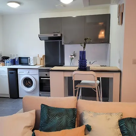Cocooning House 211 Azur Aeroport Paris Roissy Cdg, Parc Asterix, Chateau De Chantilly, Stade De France Survilliers